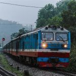 Bài tập ghi nhớ từ vựng tiếng Anh bắt đầu bằng chữ T