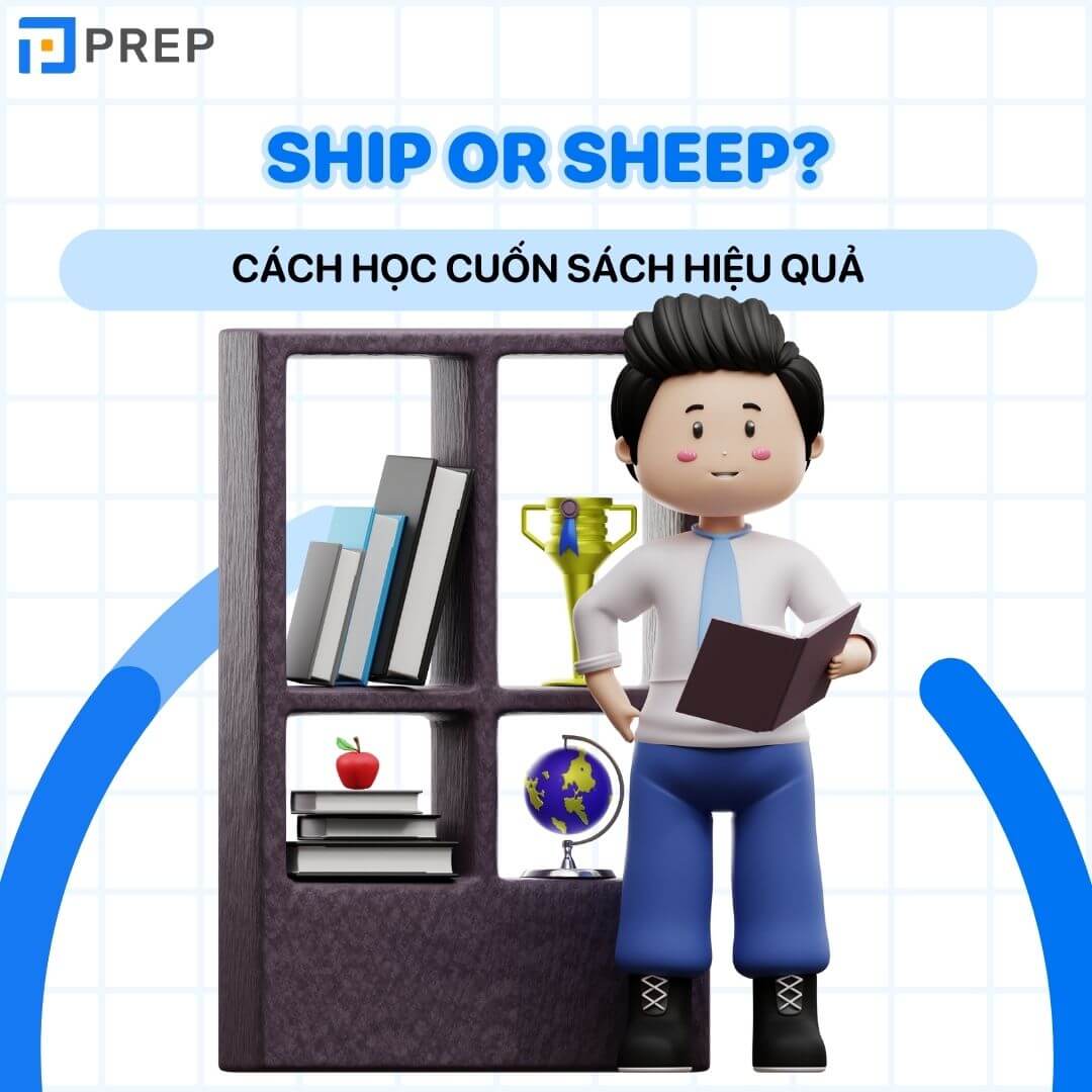 Cách học sách Ship or Sheep hiệu quả