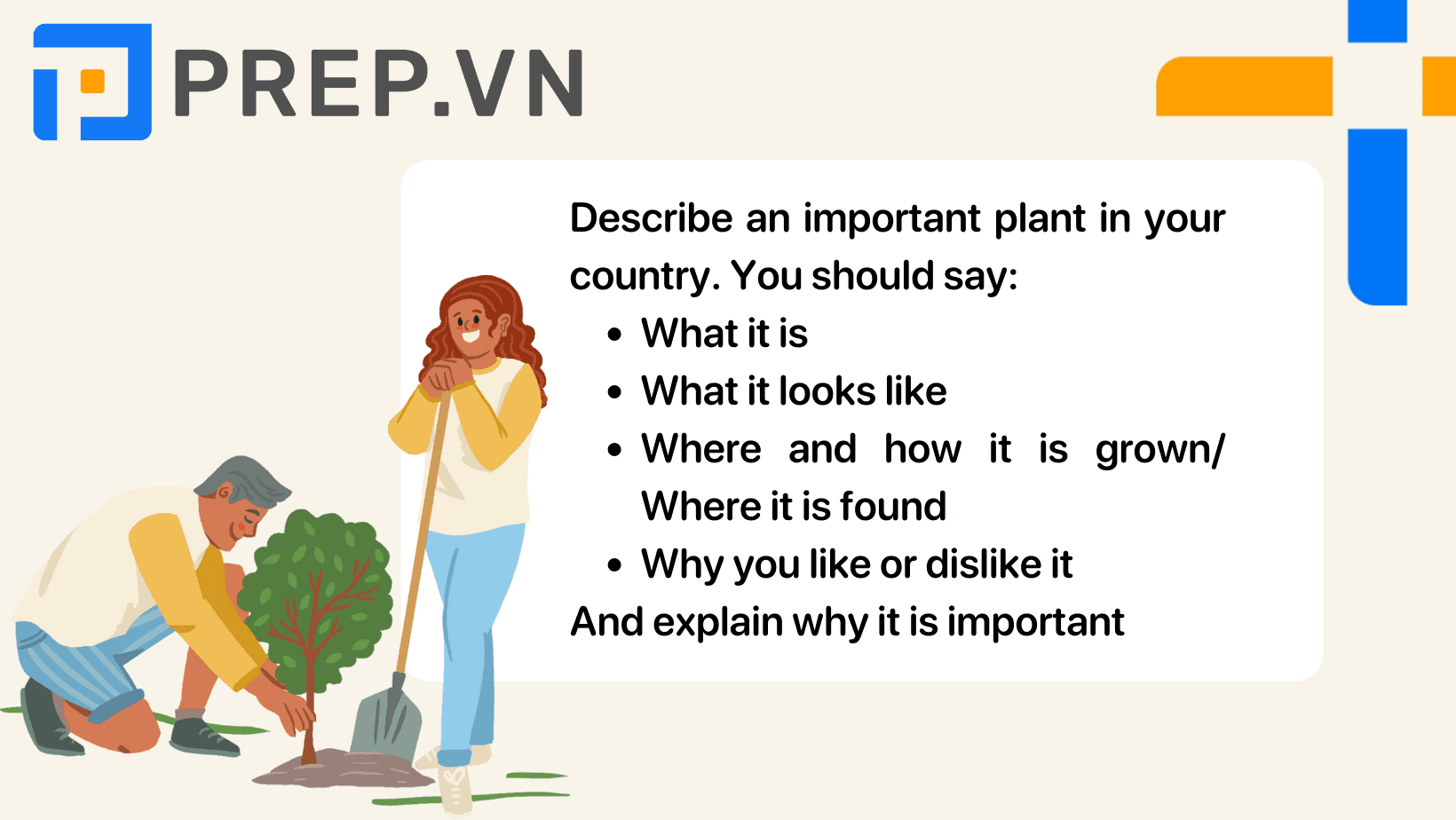 Describe an important plant in your country