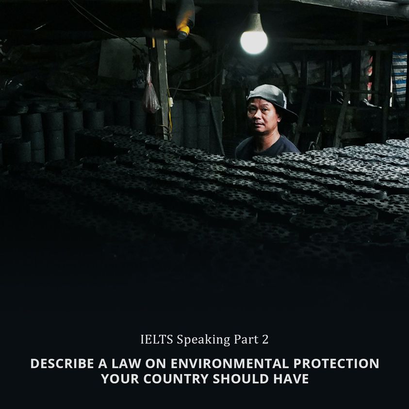Describe a law on environmental protection your country should have
