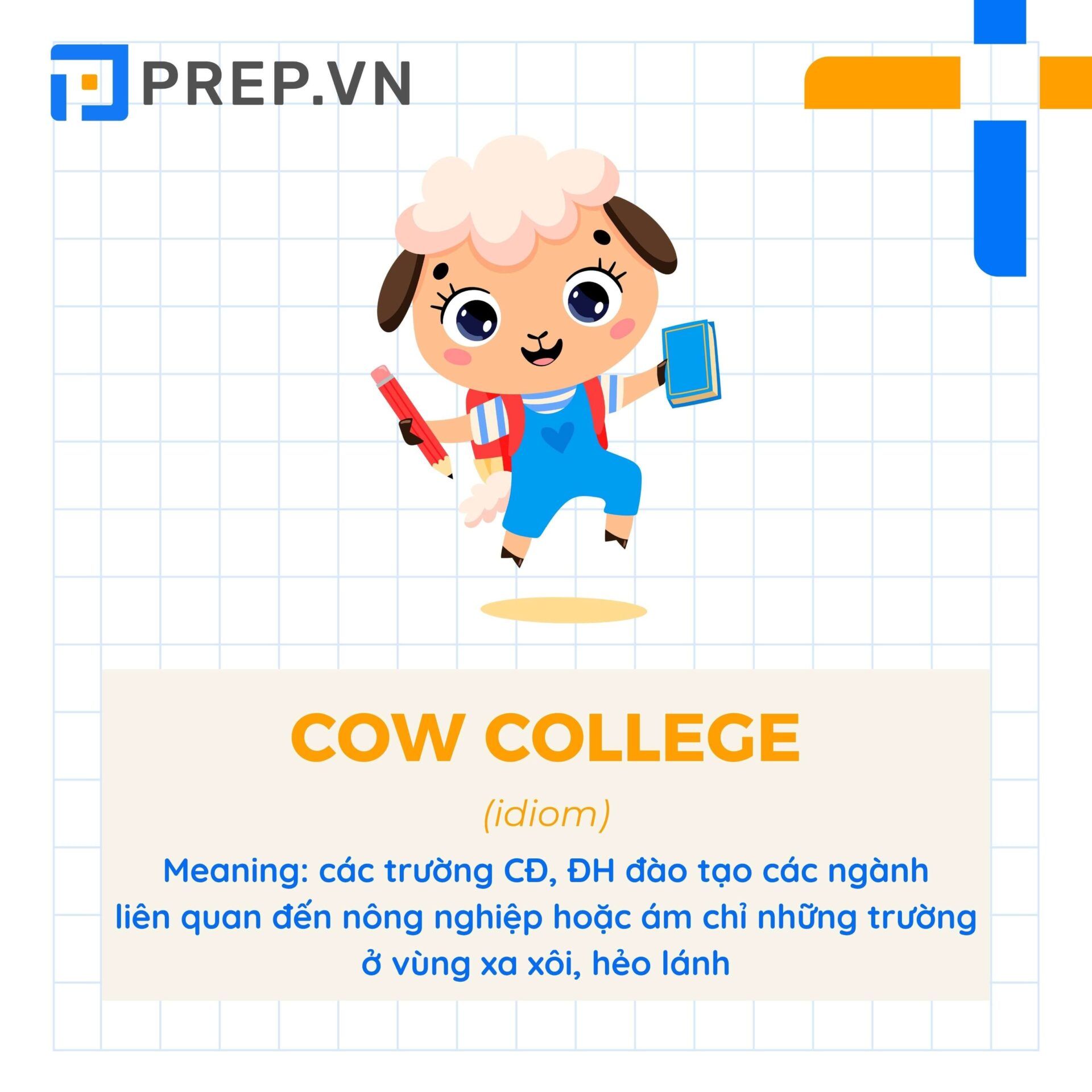 Idiom Cow college