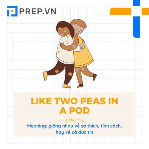 Idiom Like two peas in a pod