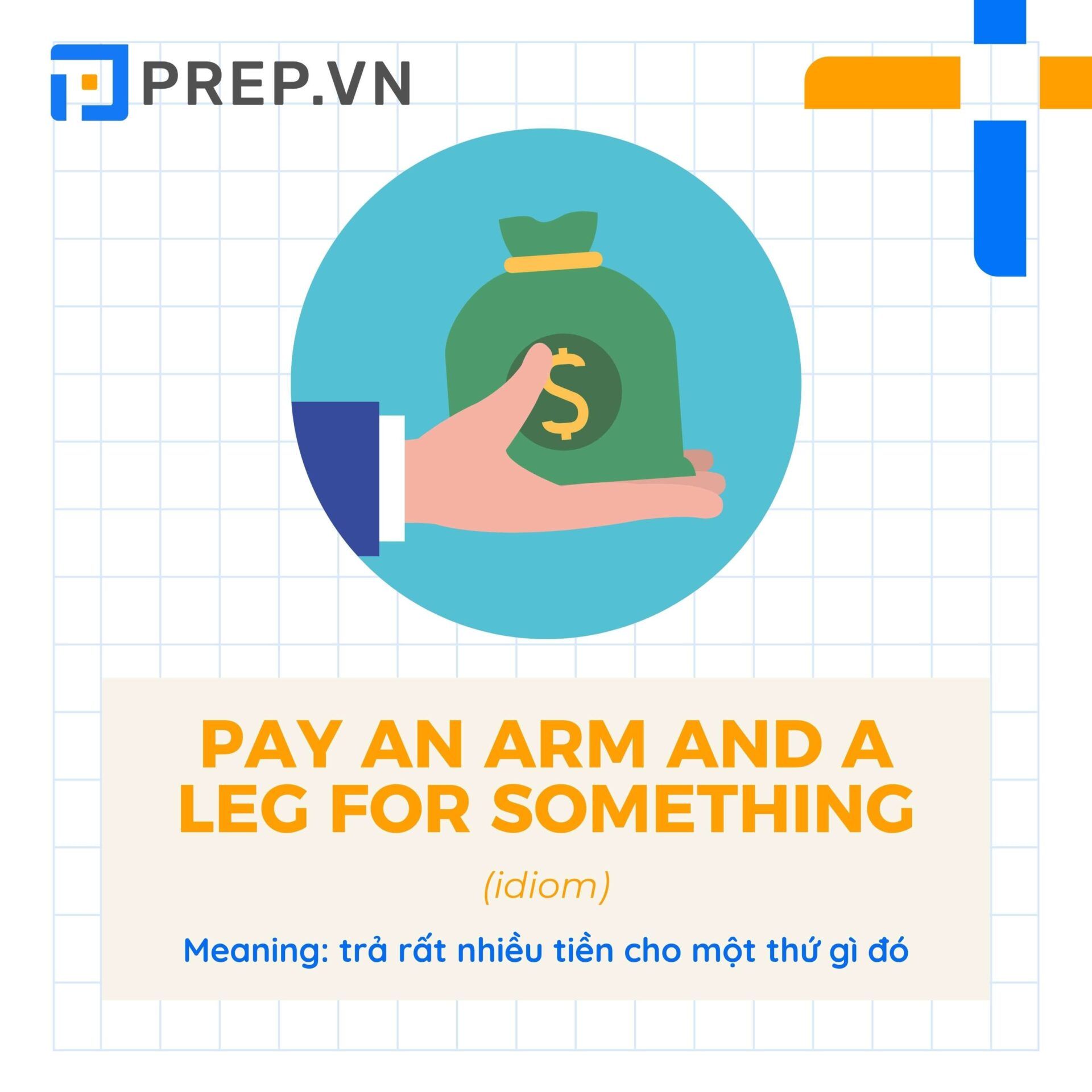 Pay an arm and a leg for something