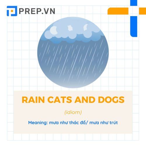 Idiom Rain cats and dogs
