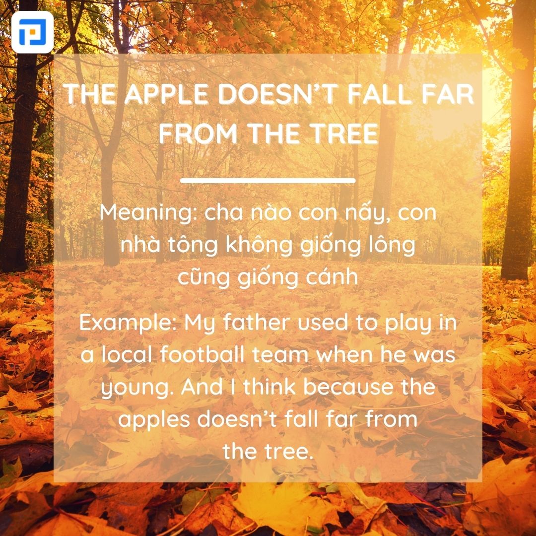 Idioms về mùa thu hay nhất