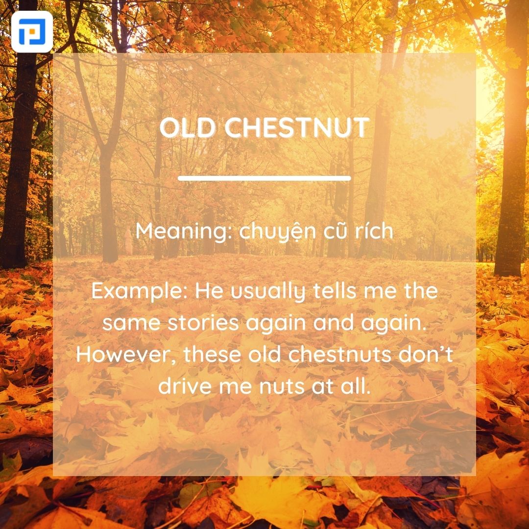 Idioms về mùa thu hay nhất