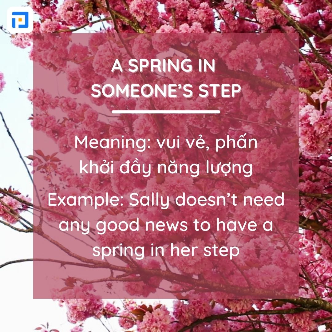 Idioms về mùa xuân hay nhất