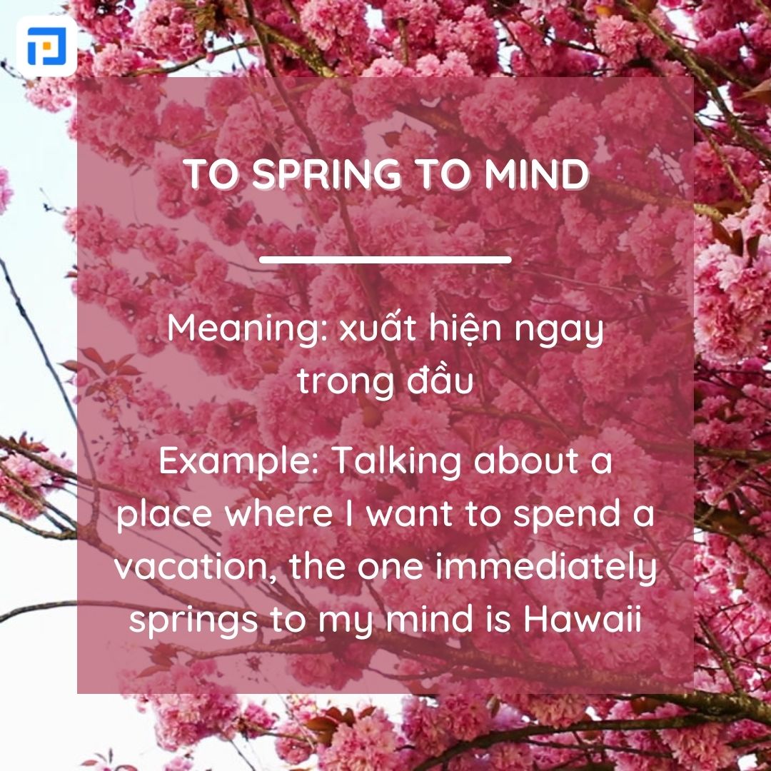 Idioms về mùa xuân hay nhất