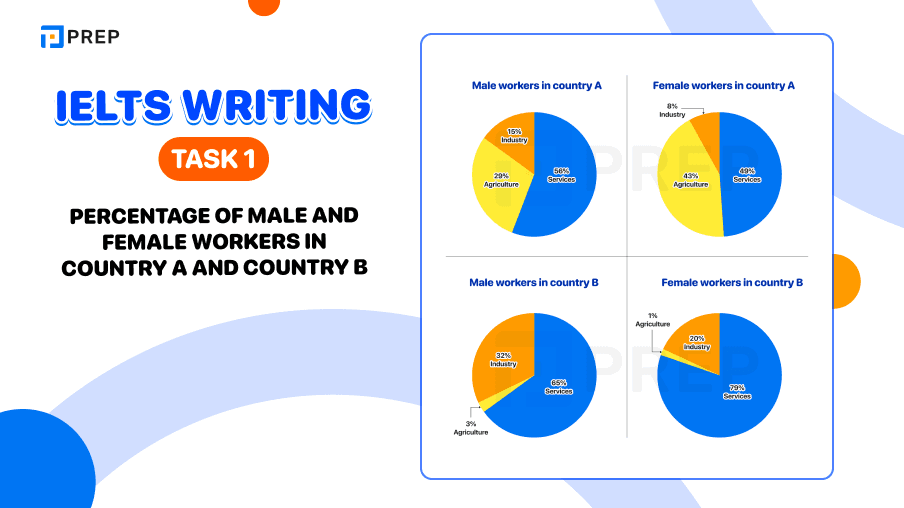 IELTS Writing Task 1 Percentage of male and female workers in country A and country B
