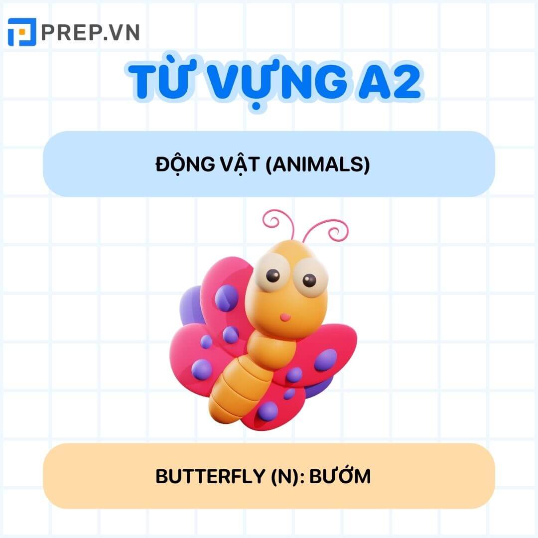 Từ vựng tiếng Anh A2: Động vật (Animals)