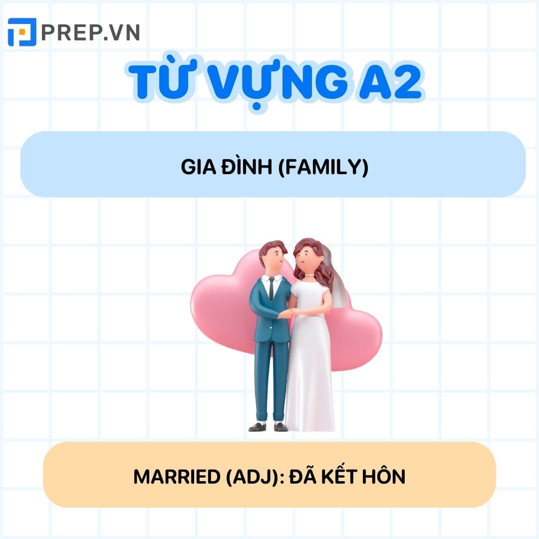 Từ vựng tiếng Anh A2: Gia đình (Family)