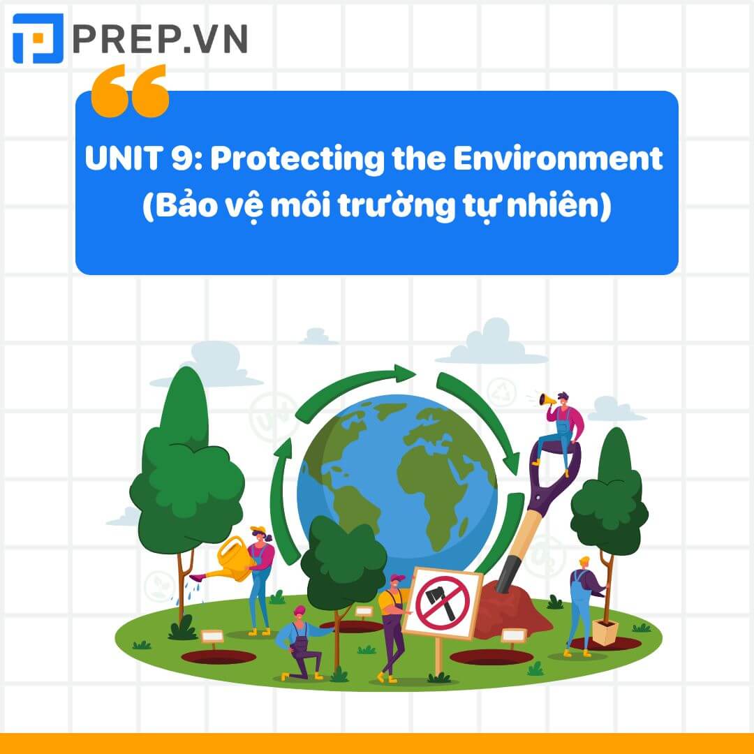 Từ vựng tiếng Anh lớp 10 unit 9: Protecting the Environment (Bảo vệ môi trường tự nhiên)