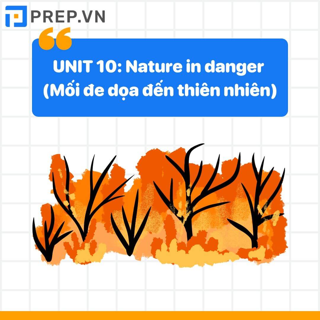 Từ vựng tiếng Anh lớp 11 unit 10: Nature in danger (Mối đe dọa đến thiên nhiên)