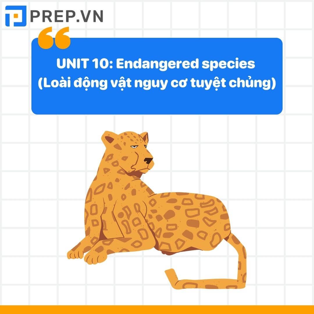 Từ vựng tiếng Anh lớp 12 unit 10: Endangered species (Loài động vật nguy cơ tuyệt chủng)