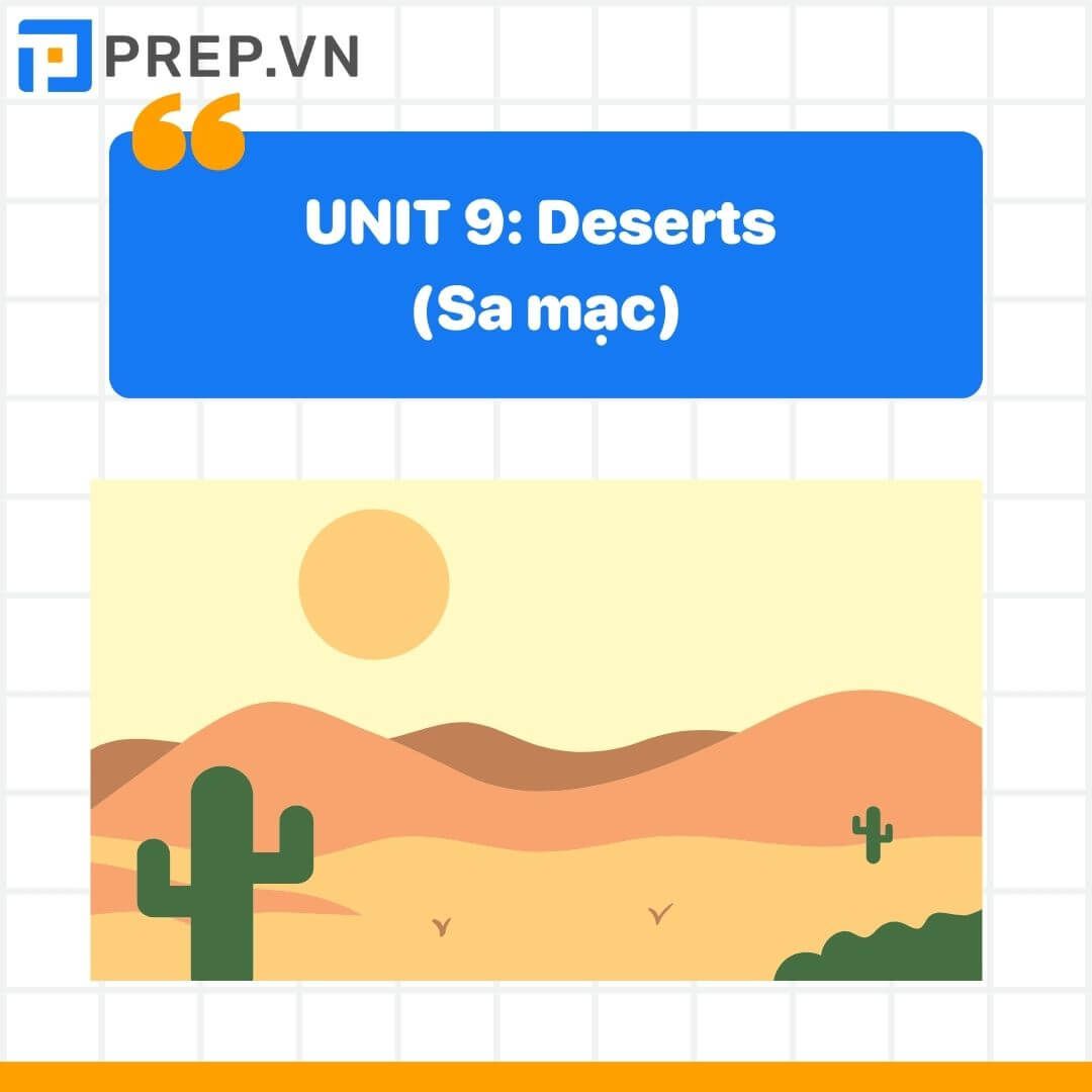 Từ vựng tiếng Anh lớp 12 unit 9: Deserts (Sa mạc)