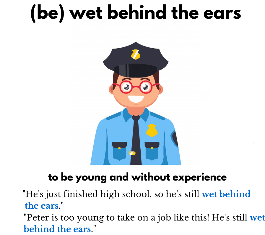Wet behind the ears - Idiom theo chủ đề Business